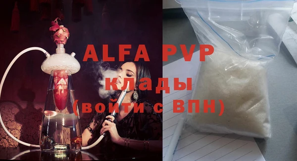 гидра Богданович