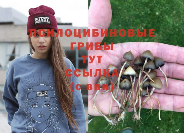 гидра Богданович