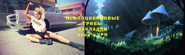 винт Богородицк