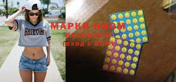 гидра Богданович