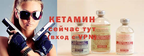 гидра Богданович