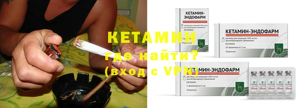 гидра Богданович