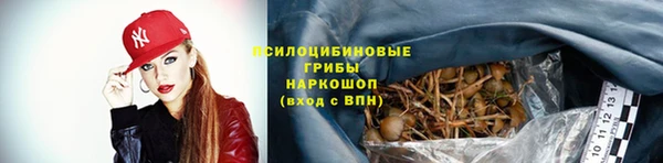 винт Богородицк