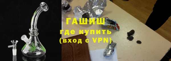 гидра Богданович
