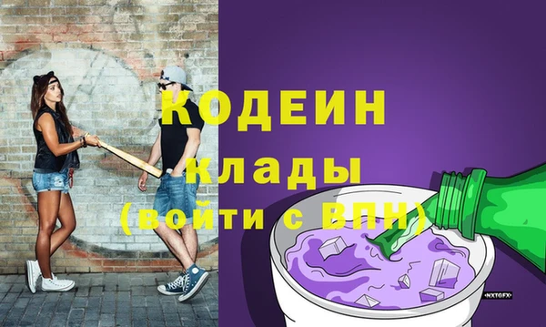 гидра Богданович