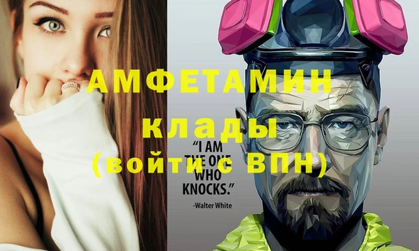 гидра Богданович