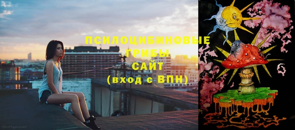 винт Богородицк