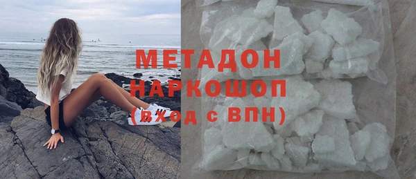 гидра Богданович