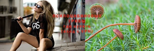 винт Богородицк